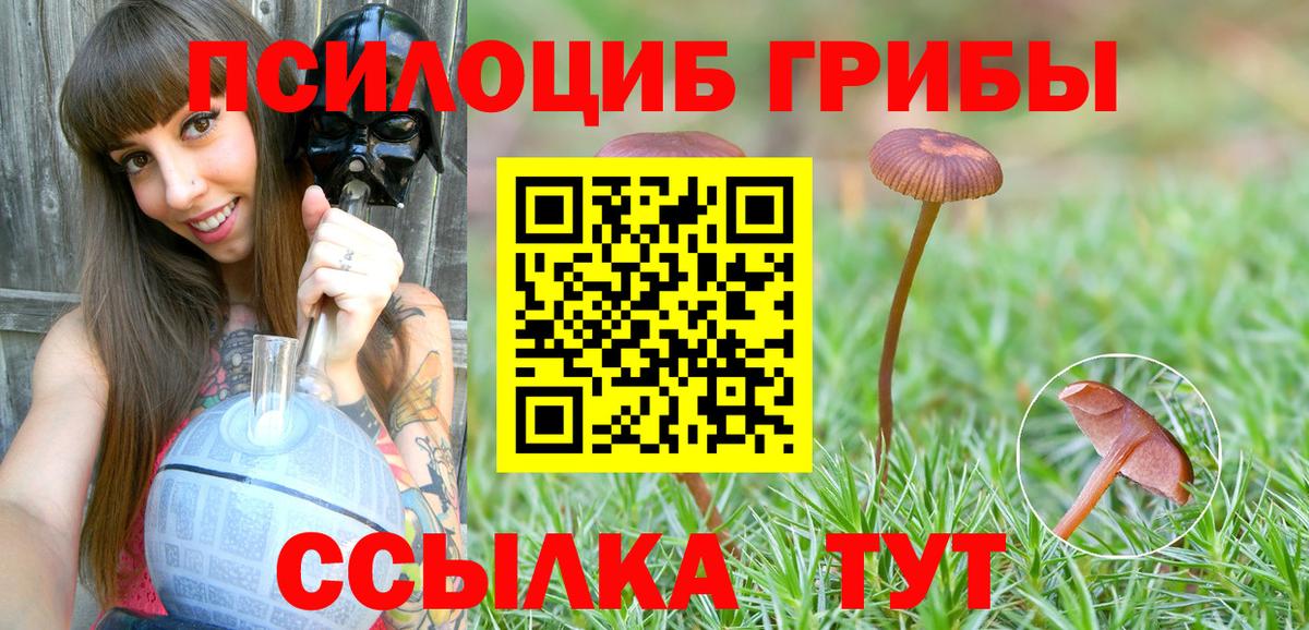 Псилоцибиновые грибы мухоморы Орск